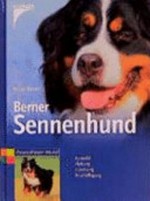 Berner Sennenhund: Auswahl, Haltung, Erziehung, Beschäftigung