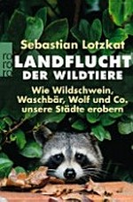 Landflucht der Wildtiere: wie Wildschwein, Waschbär, Wolf und Co. unsere Städte erobern