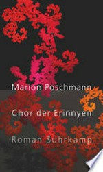 Chor der Erinnyen: Roman : Die Parallelgeschichte zum Bestseller "Die Kieferninseln"