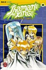 Shaman King 29