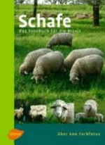 Schafe: Das Fotobuch für die Praxis