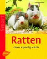 Ratten [clever - gesellig - aktiv]