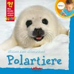 Polartiere (ohne Stift) Wissen zum Mitmachen