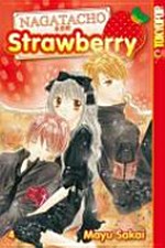 Nagatacho Strawberry 04