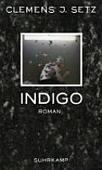 Indigo: Roman