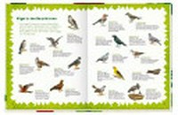 ¬Das¬ große Waldbuch Ab 9 Jahren [entdecke über 350 Tiere und Pflanzen ; mit praktischen Forschertipps]