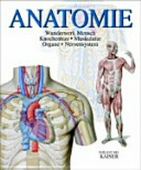 Anatomie: Wunderwerk Mensch - Knochenbau, Muskulatur, Organe, Nerversystem