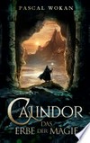 Das Erbe der Magie: Fantasy-Roman Das Erbe der Magie: Fantasy-Roman