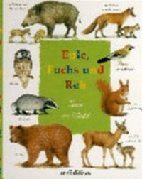 Eule, Fuchs und Reh: Tiere im Wald