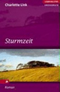 Sturmzeit [Roman]