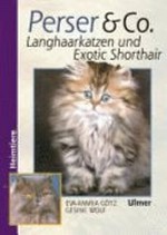 Perser & Co: Langhaarkatzen und Exotic Shorthair