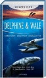 Delphine & Wale: Verstehen. Erkennen. Beobachten