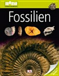 Fossilien Ab 8 Jahren