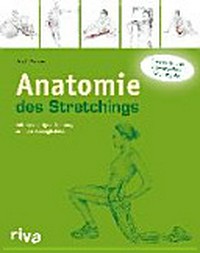 Anatomie des Stretching: Mit der richtigen Dehnung zu mehr Beweglichkeit