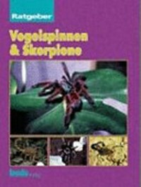 Vogelspinnen & Skorpione: Ratgeber